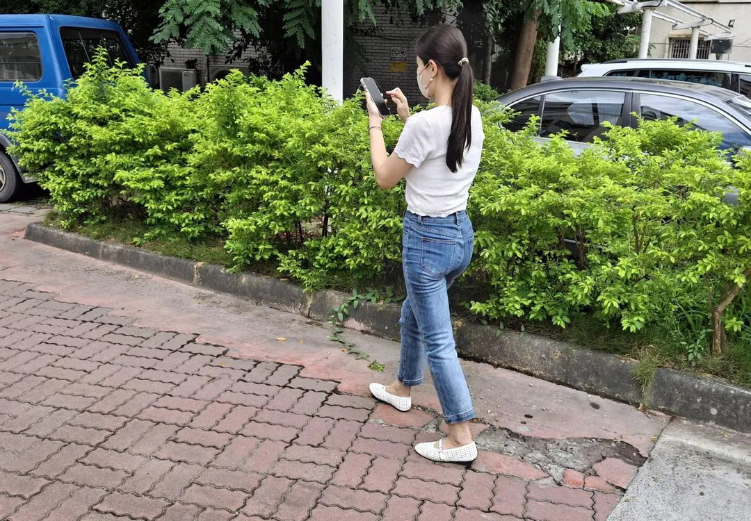 膝蓋疼痛不一定代表關節退化，突然增加運動量、肌腱或韌帶過度使用，都可能是疼痛的真正原因。（圖／嘉義基督教醫院）