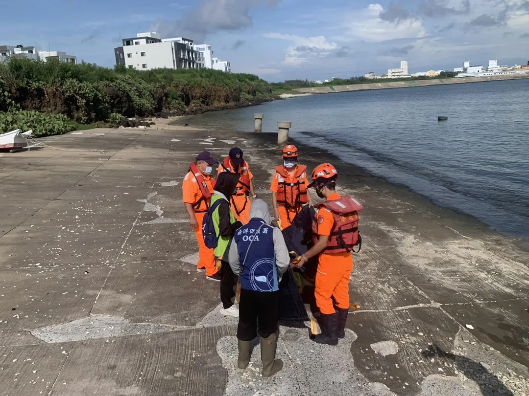 澎湖馬公鎖港南堤海堤今（28）日清晨驚見海豚迷航，安檢所人員獲報後迅速趕赴現場持續潑水保濕。(圖/翻攝畫面)