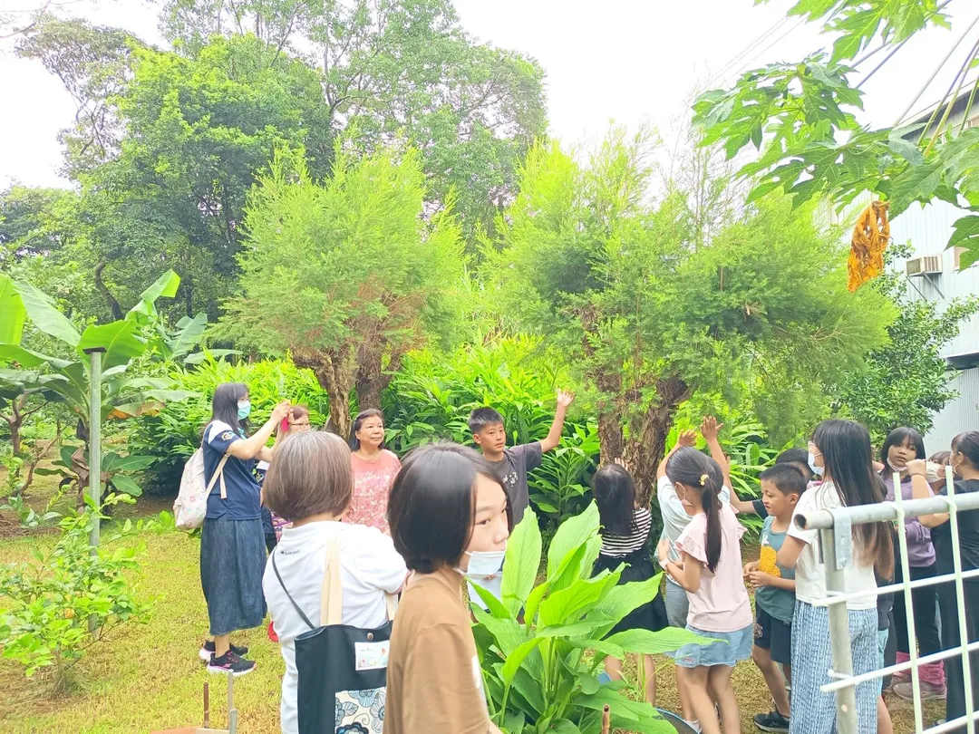 小衛星學童們在杜大姐帶領下，參觀香草植物園。（圖／朱安平公益協會提供）