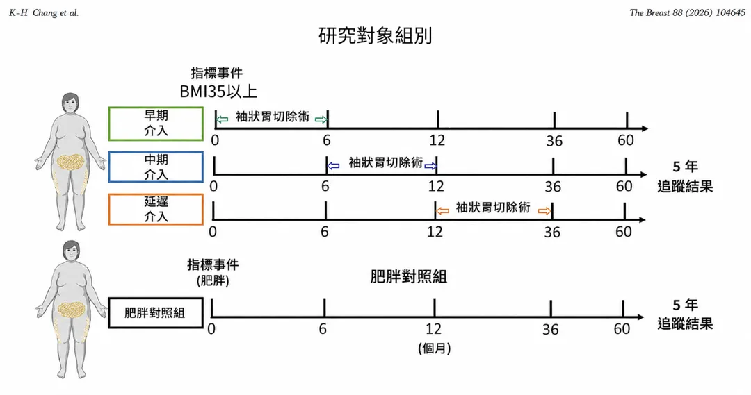 研究團隊比對BMI35的病人接受減重手術的時機對乳癌發生率的影響,證實及早接受減重手術,乳癌發生風險可降低約20%。(圖/台北慈濟醫院)
