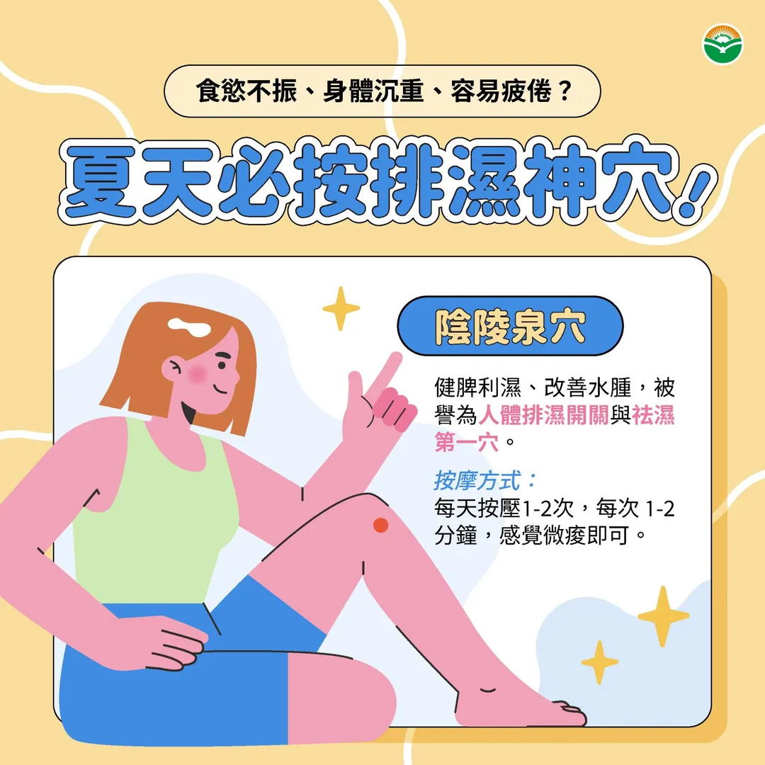 穴位保養方面，周亞錚醫師建議按壓「陰陵泉」穴，位於小腿內側、脛骨內側髁後下方凹陷處，具有健脾利濕、改善水腫的功效。（圖／馬光中醫）