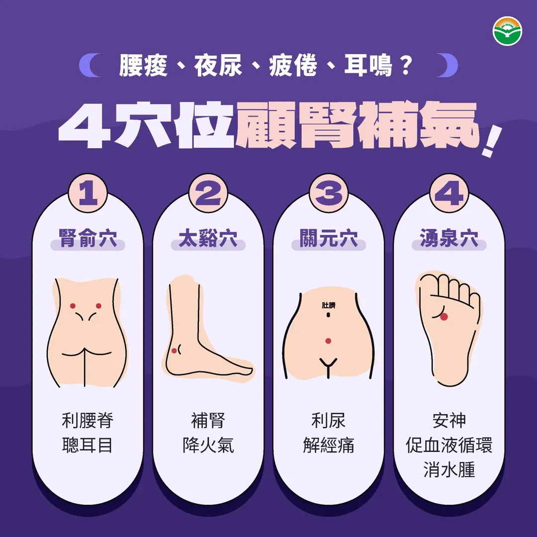 在日常保養方面,陳宜民醫師建議可透過按摩特定穴道來輔助顧腎。(圖/馬光中醫)