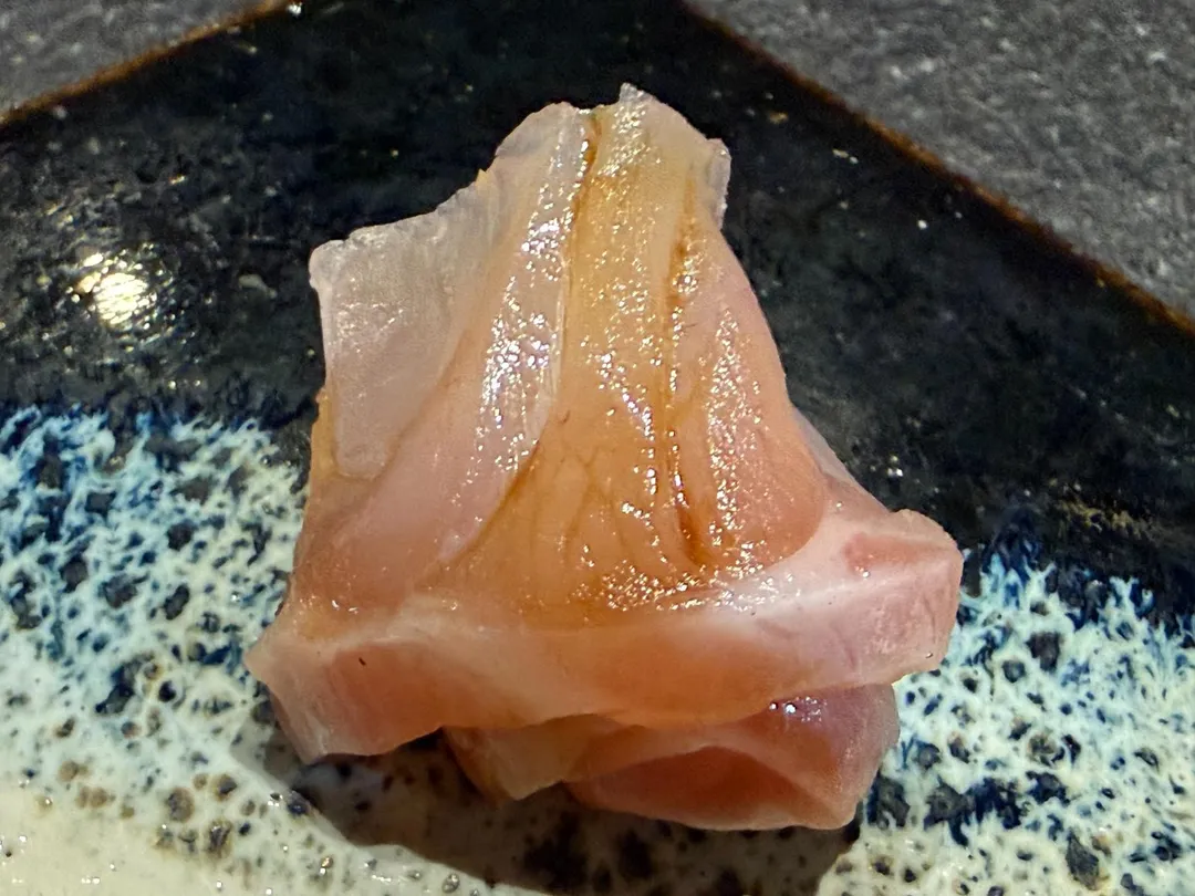 罕見的荒魚。（圖／黃宏輝提供）