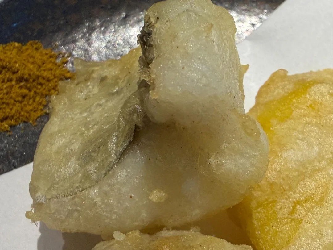 厚身的鱧。（圖／黃宏輝提供）