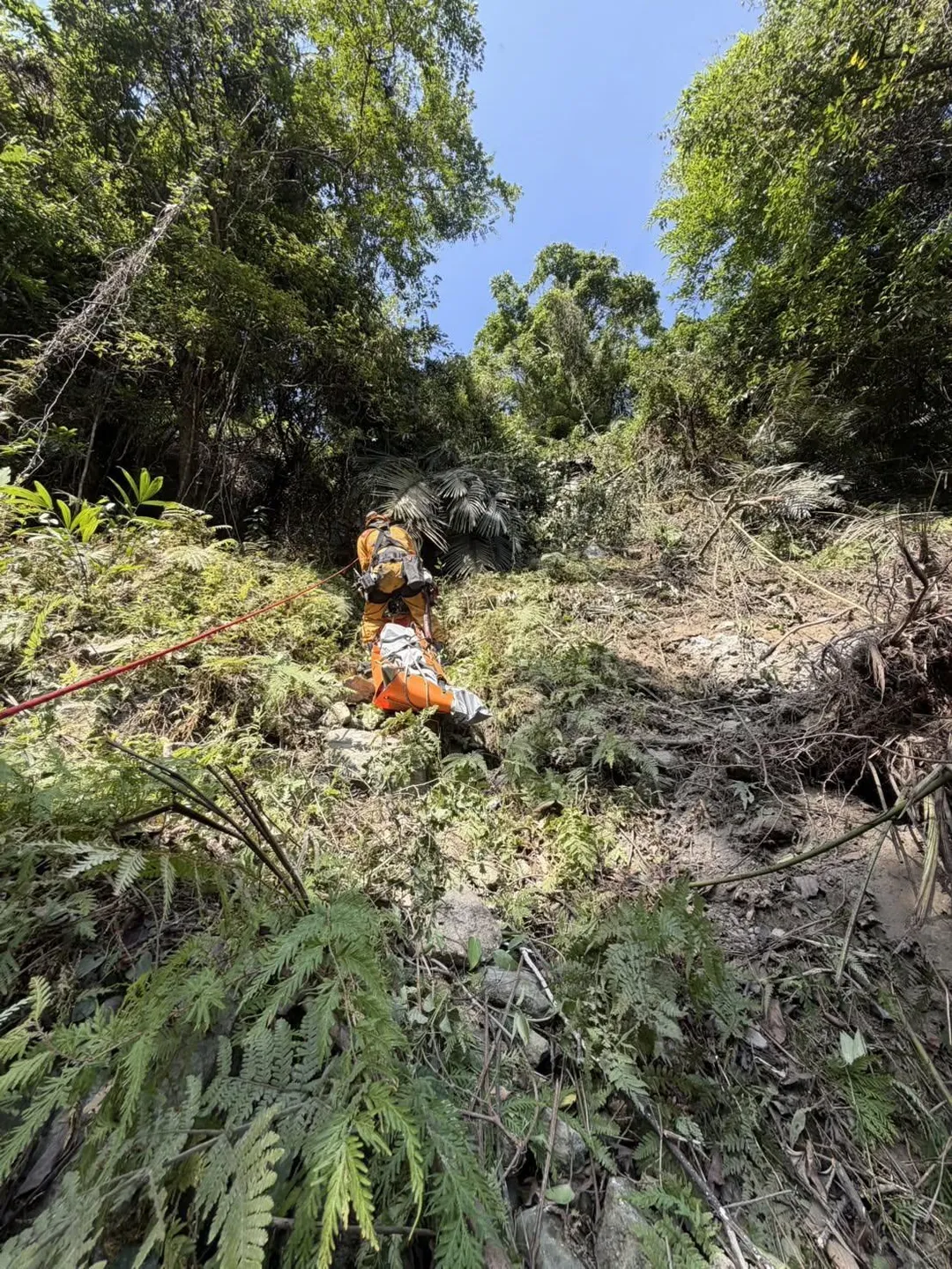 救援隊員架設繩索進行垂降作業。（圖／花蓮縣消防局特種搜救大隊提供）