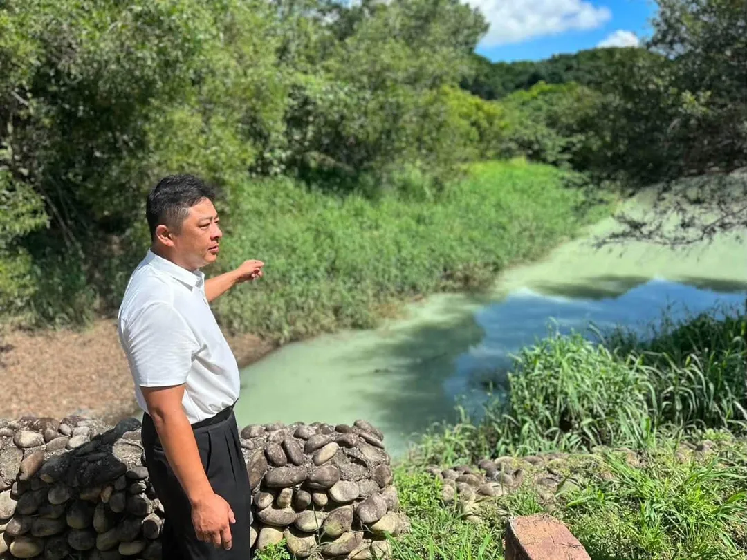台中市大雅區橫山公園內的滯洪池近日出現白色水體,引發污染疑慮,市議員吳呈賢到場稽查。(圖/台中市議員吳呈賢提供)