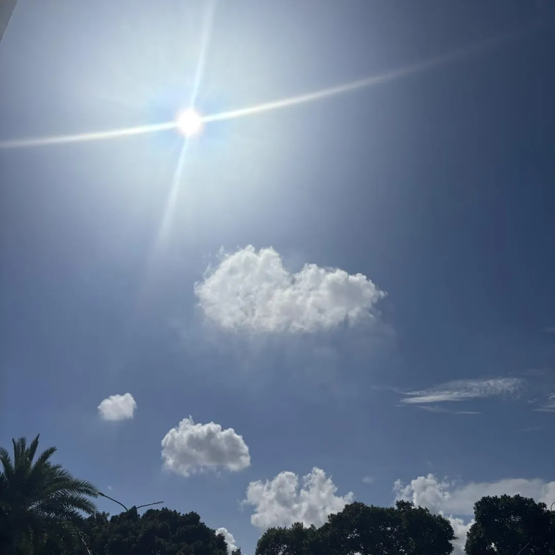 立秋才剛過，處暑也即將到來，但台灣高溫依舊不退，多地氣溫甚至超過36度。（圖／記者吳紹尹攝）