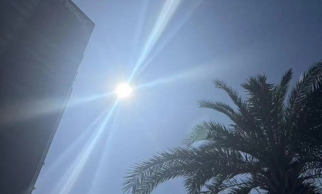 想照顧身體的生理節律,呂美寶建議,可先從生活習慣著手,包括固定起床時間、早晨接觸自然日光。(圖/中天新聞)