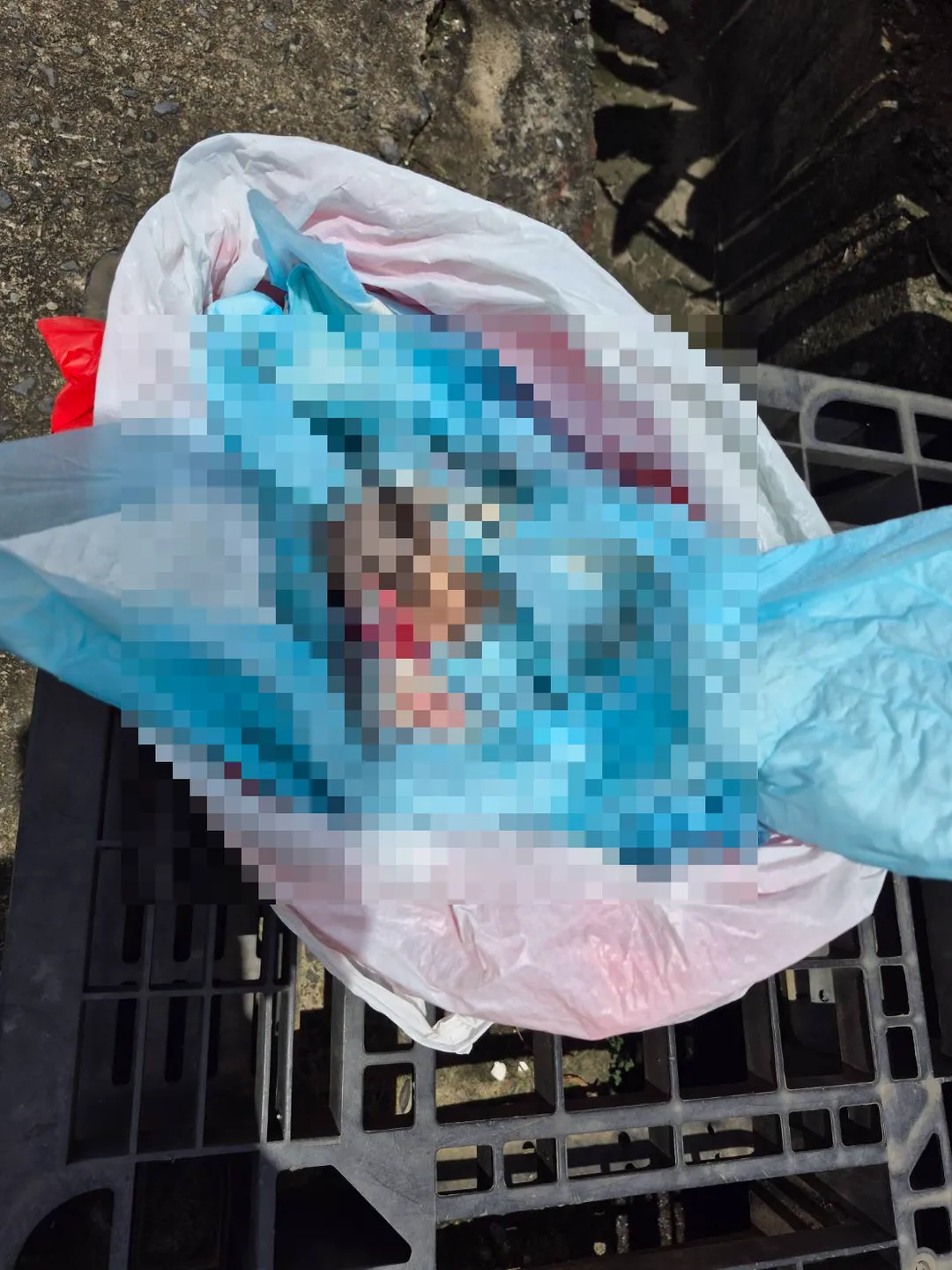 今日上午將近10時許,在永康區崑山市場停車場一處魚攤的保麗龍箱內,魚販發現遭棄置的嬰兒屍體。(圖/警方提供)
