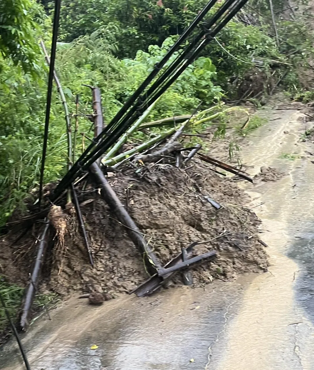 大量土石傾瀉而下，折斷路邊植物枝幹也影響電線杆。（圖／南安里里長黃朝添提供）