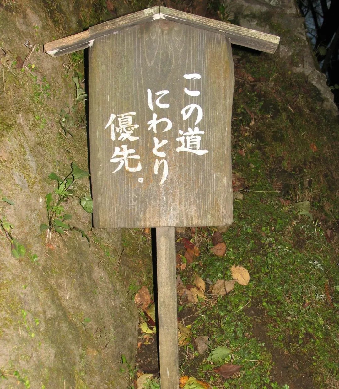 雞優先標牌。（圖／黃宏輝提供）