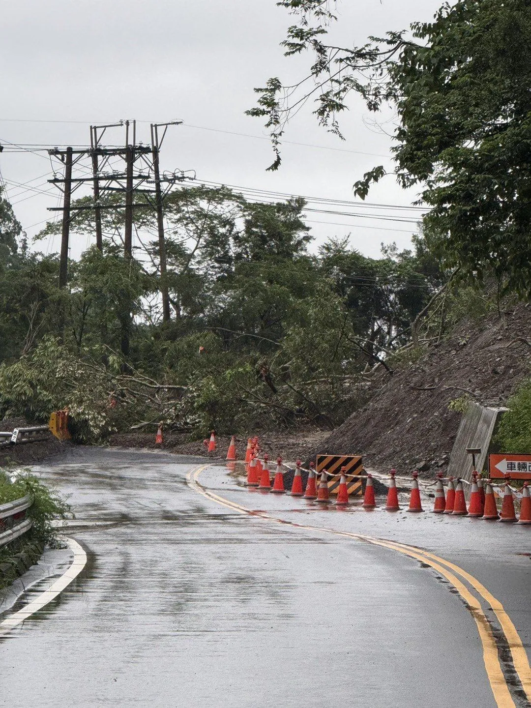 高雄市甲仙區台20線65K+380（白雲寺路段）因邊坡坍方，導致雙向道路無法通行。（圖／南區養護工程分局-甲仙工務段）