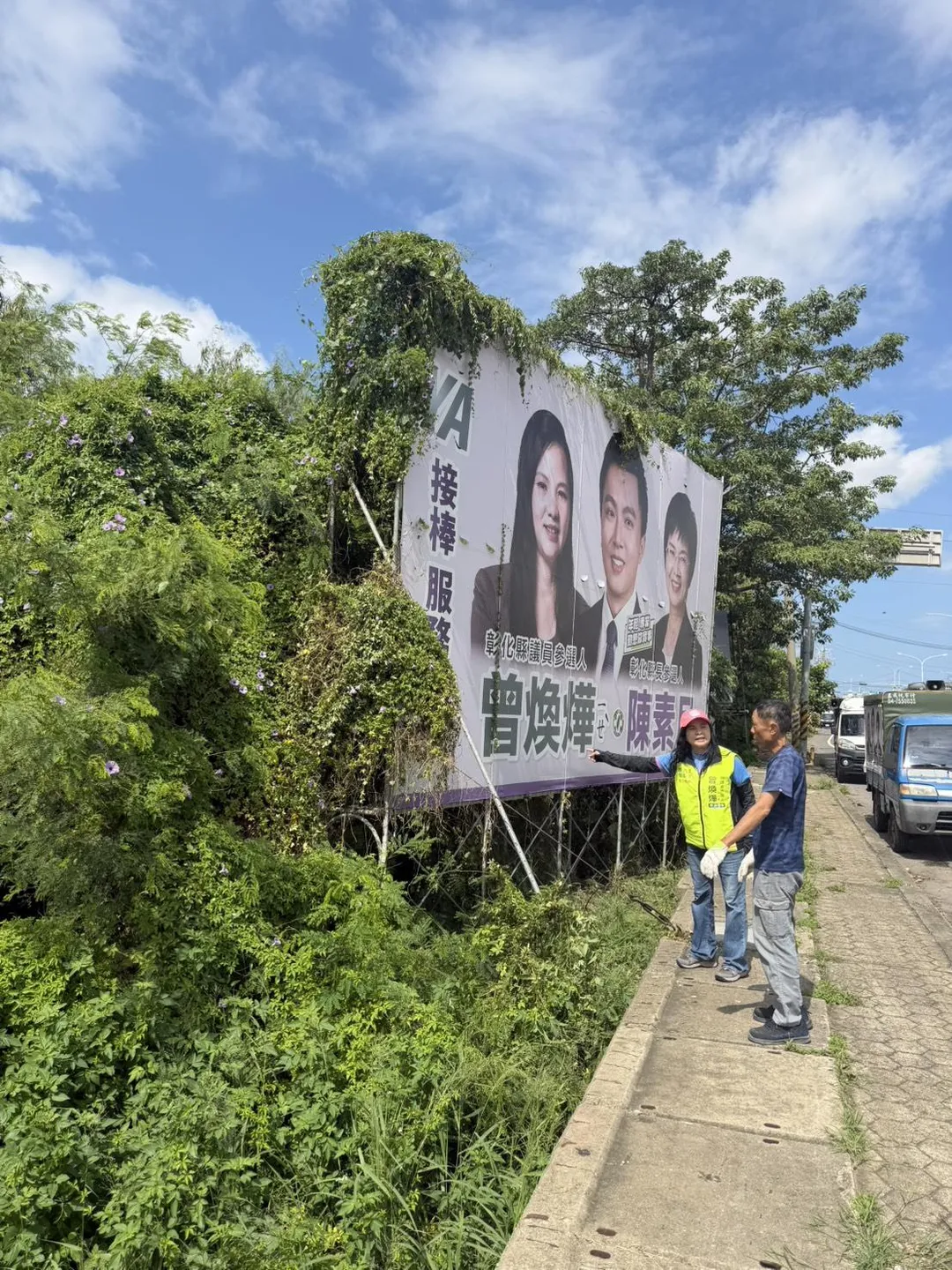 雖然該虎頭蜂窩是在選舉看板後方草叢，但因鄰近大型餐廳，仍決定先行拆除以免影響附近民眾安全。（圖／翻攝畫面）