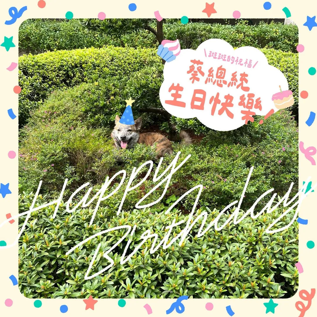 賴清德用愛犬斑斑的電子賀卡，祝福蔡英文70大壽。（圖／賴清德Threads）