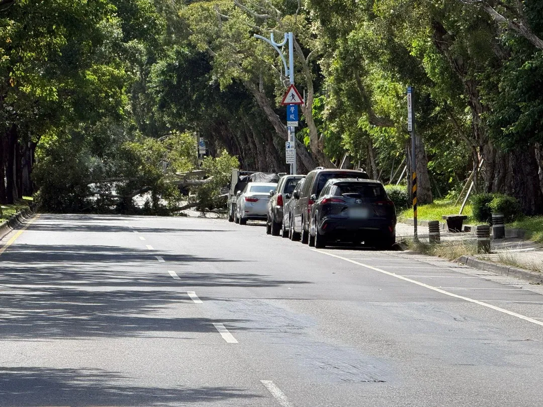 台北中山區今天發生路樹傾倒影響車輛通行事件，警方獲報立即派員到場處理，幸無人傷。（圖／翻攝畫面）