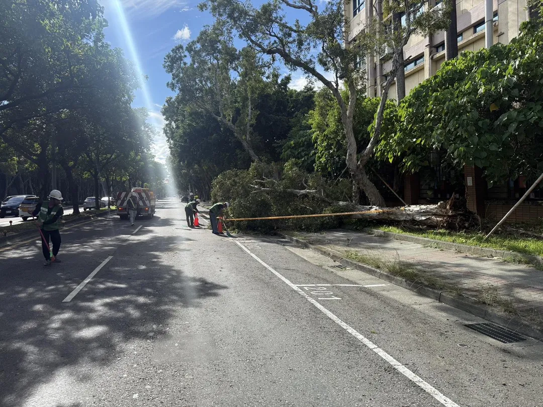 台北中山區今天發生路樹傾倒影響車輛通行事件，警方獲報立即派員到場處理，幸無人傷。（圖／翻攝畫面）