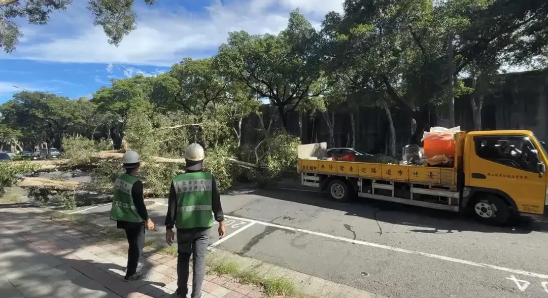 台北中山區今天發生路樹傾倒影響車輛通行事件，警方獲報立即派員到場處理，幸無人傷。（圖／翻攝畫面）