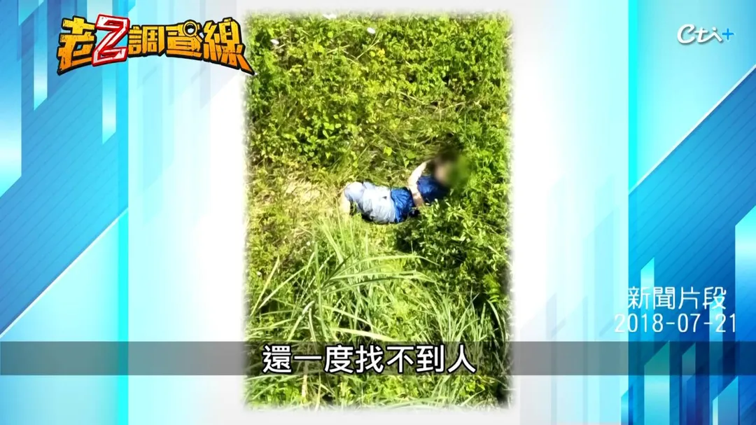 嫌犯心虛從高架橋一躍而下，居然能平安落地。(圖/老Z調查線)