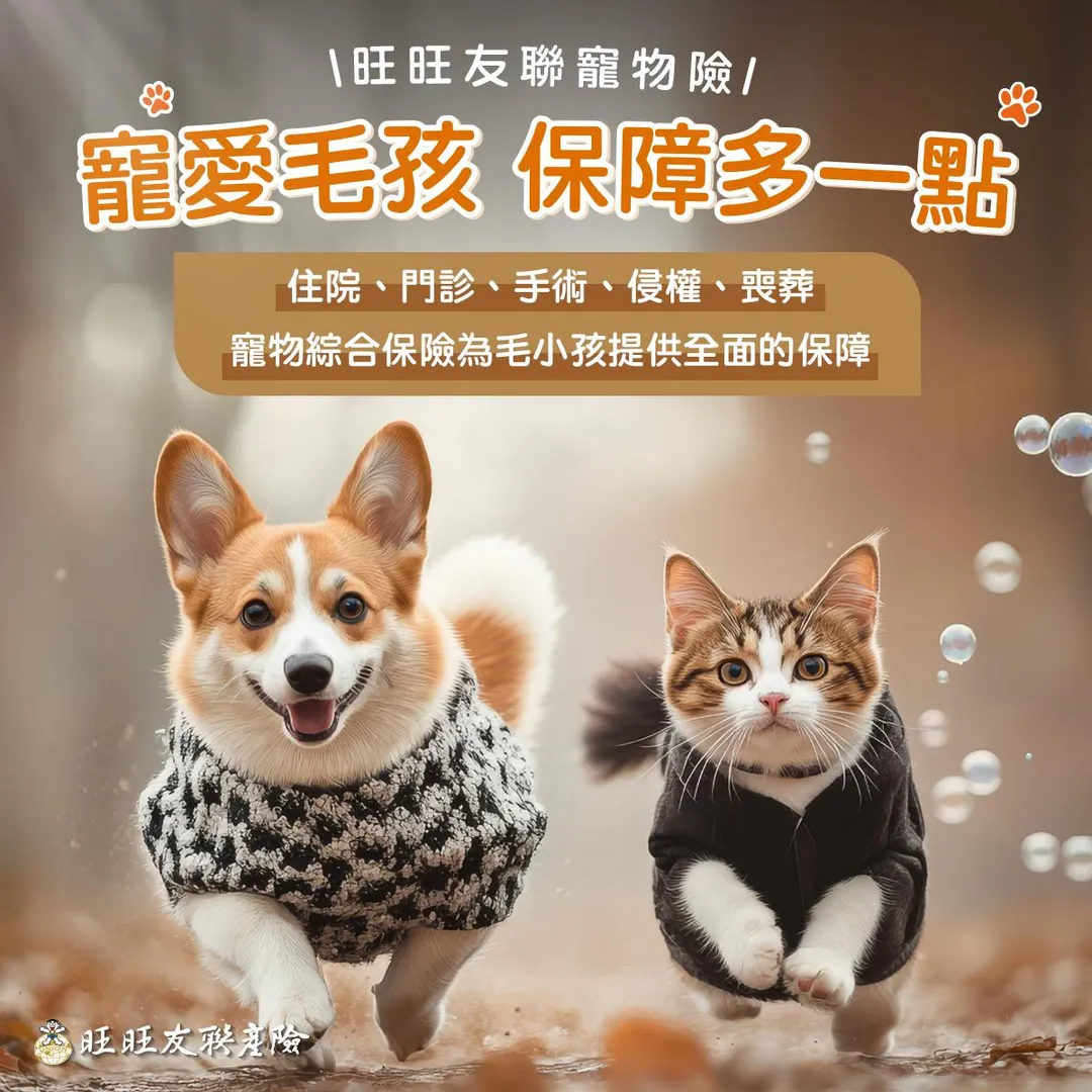 旺旺友聯提供完善的醫療保險後盾，讓飼主在面對昂貴的手術費時能大幅減輕醫療支出的負擔。(圖/旺旺友聯提供)
