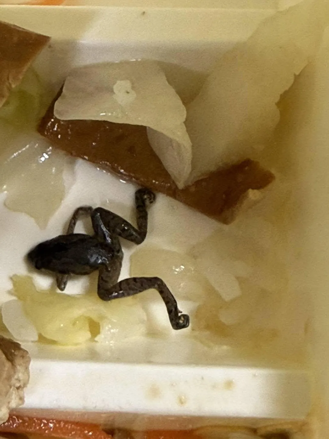 有民眾爆料，北市一家便當店的配菜出現青蛙。（圖／翻攝自●【爆料公社】●臉書）