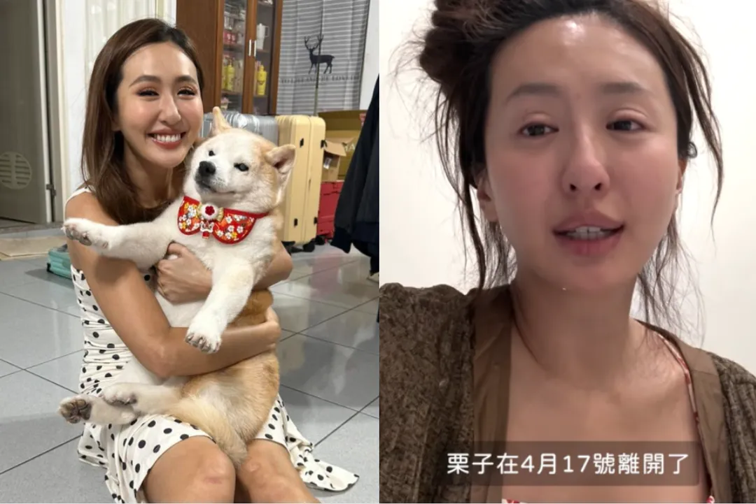 薔薔透露愛犬栗子於4月17日過世。（圖／翻攝自薔薔臉書、YouTube）