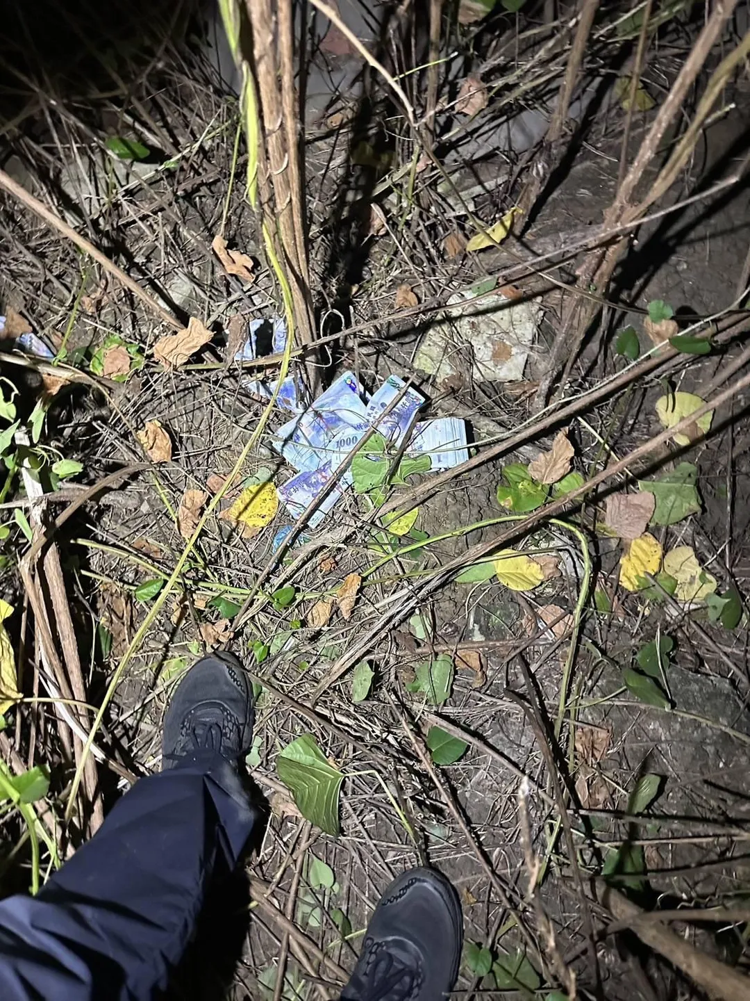 詐團車手謝男12日深夜在嘉義市準備將贓款26萬元交給收水手謝男，警發現攔查，2人駕車衝入草叢後棄車躲藏，因遭警包圍且害怕被蛇咬被逮。警在車旁發現現金贓款。（圖／警方提供）