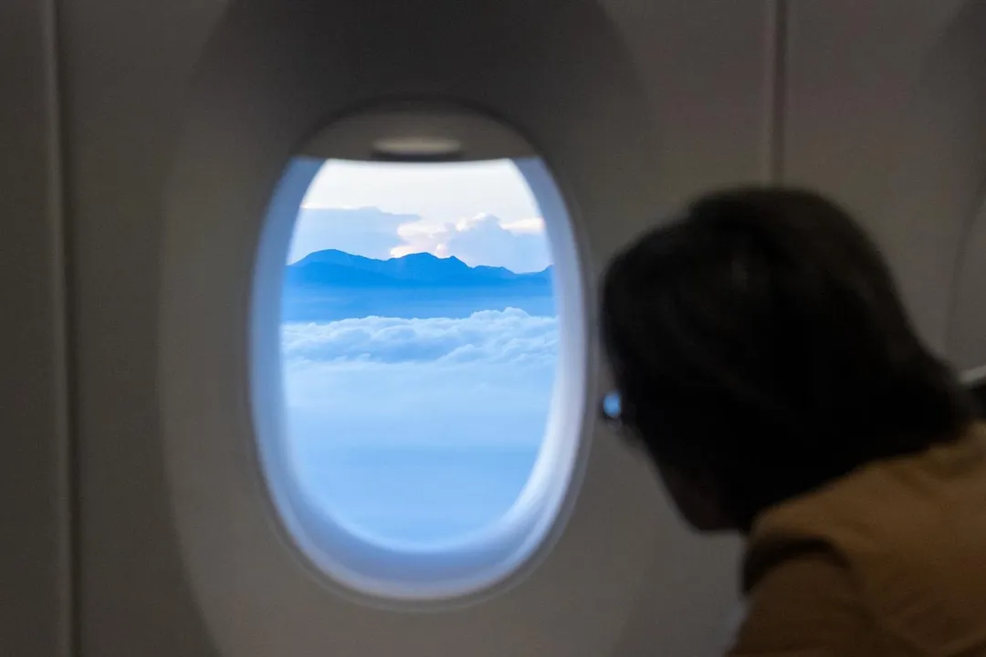 蕭美琴搭乘華航班機返國。(圖/總統府)