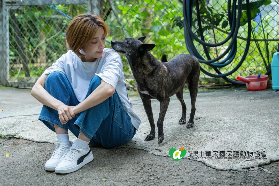 蔡淑臻探訪中華民國保護動物協會資助的「八里保育場」，她親手幫浪浪洗澡、餵食。（圖／翻攝蔡淑臻　臉書）