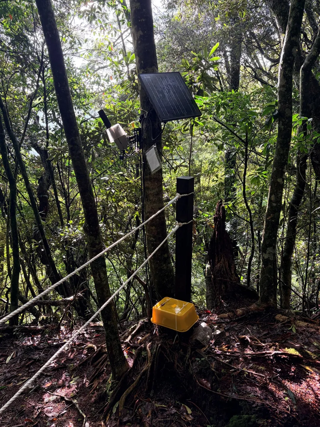 林業保育署已在台東嘉明湖山屋、向陽山屋與大雪山國家森林遊樂區等高風險區域,導入AI影像辨識與預警系統。(圖/林保署提供)