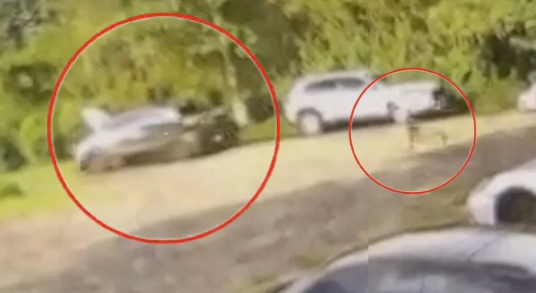北宜公路13日發生超跑忘拉手煞車，整輛墜谷的慘事。（圖／記者爆料網，《中天新聞網》合併事發過程畫面製圖）