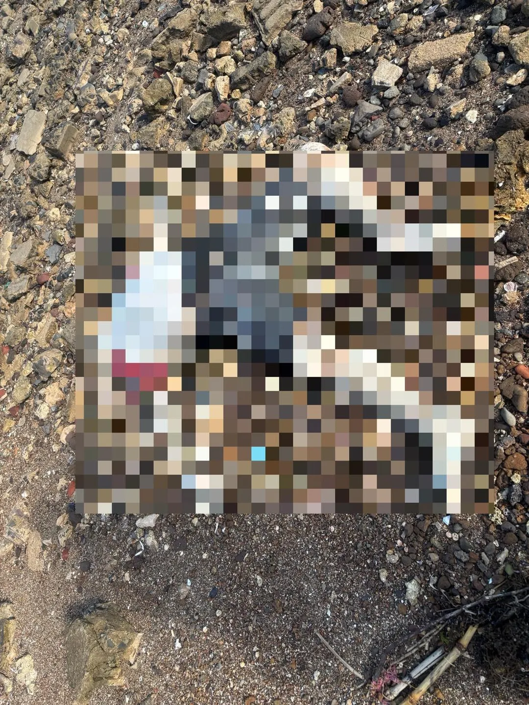 遺體疑似落海已有一段時間，外觀出現明顯腫脹，導致容貌難以辨識。（圖／海巡署提供）
