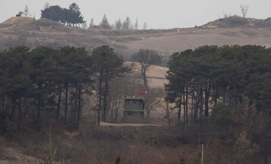 兩韓非軍事區。（圖／路透社）