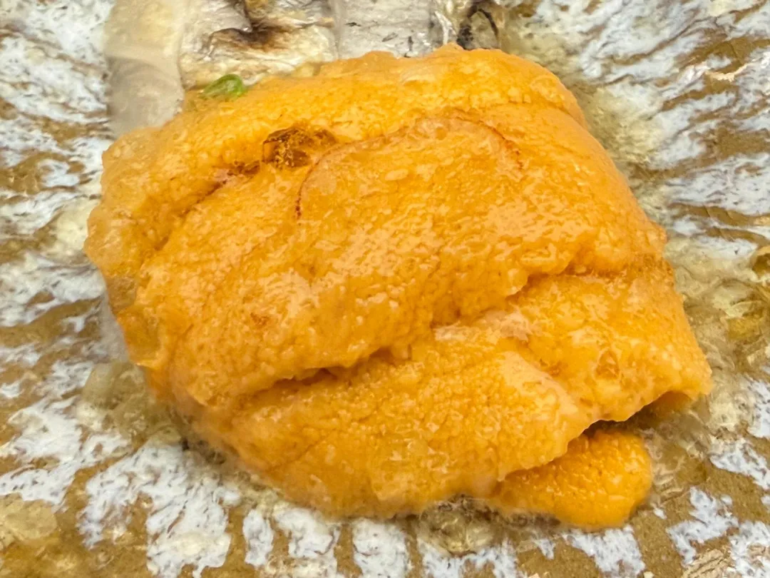 馬糞海膽。(圖/黃宏輝提供)