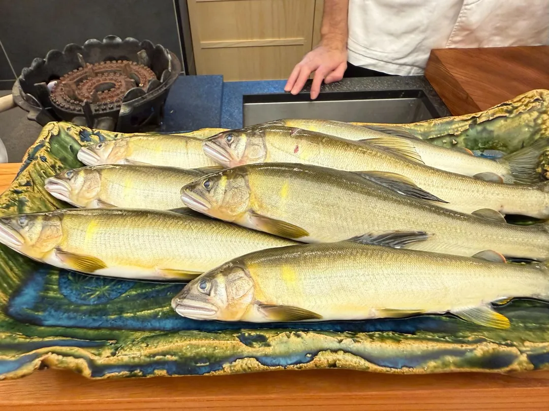 野生香魚。(圖/黃宏輝提供)