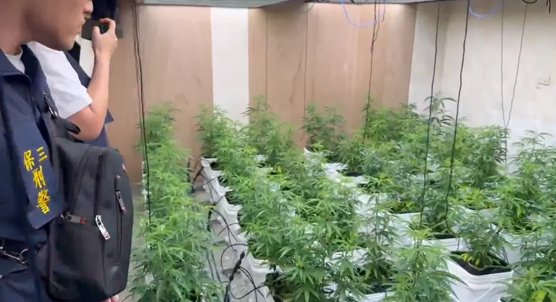 嘉義市鬧區驚見高科技大麻工廠。（圖／警方提供）