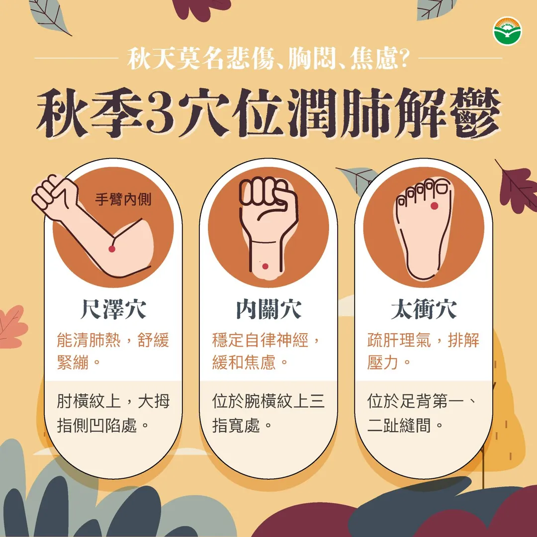 穴道按摩也是日常放鬆方式之一，包括位於肘橫紋上、大拇指側凹陷處的尺澤穴。（圖／馬光中醫）