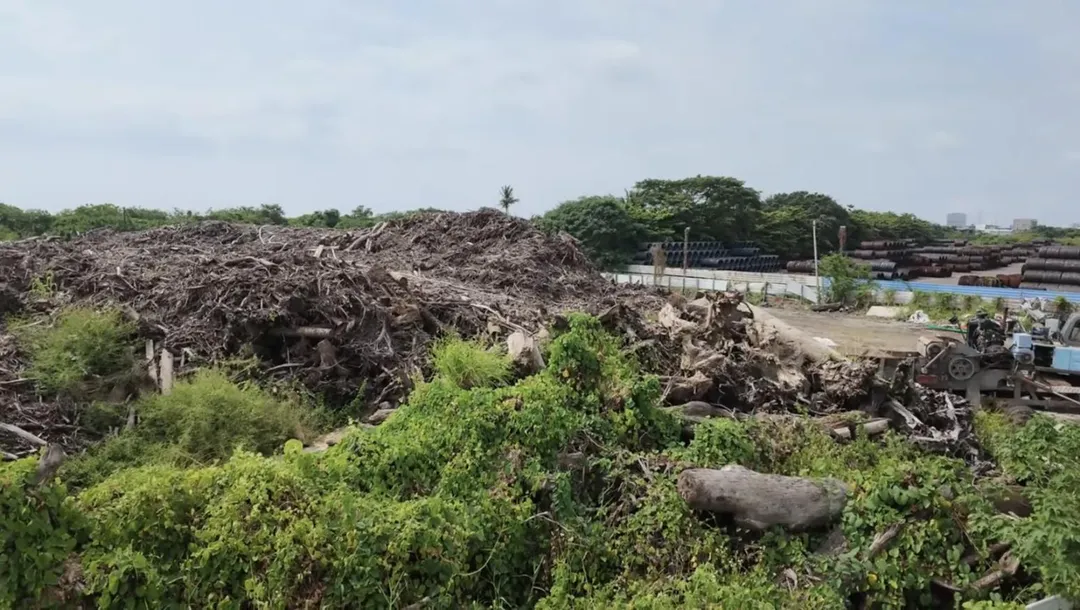 高雄市永安地區被棄置大量廢材。（圖／柯志恩競辦提供）