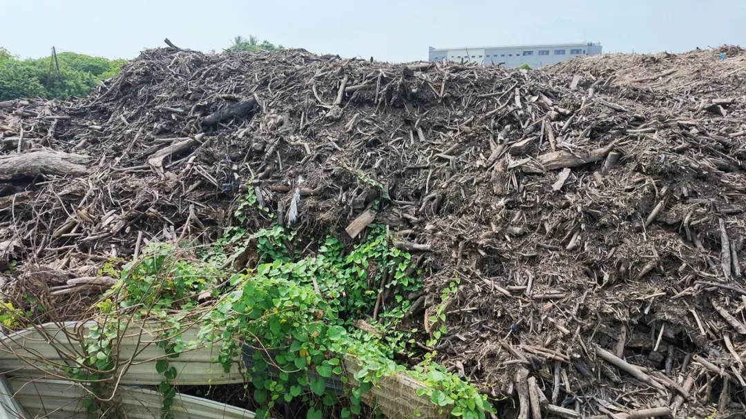高雄市永安地區被棄置大量廢材。（圖／柯志恩競辦提供）