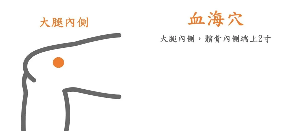 可依個人體質及症狀,由專業醫師評估適合穴位與保健方式。(圖/謝昆哲醫師提供)