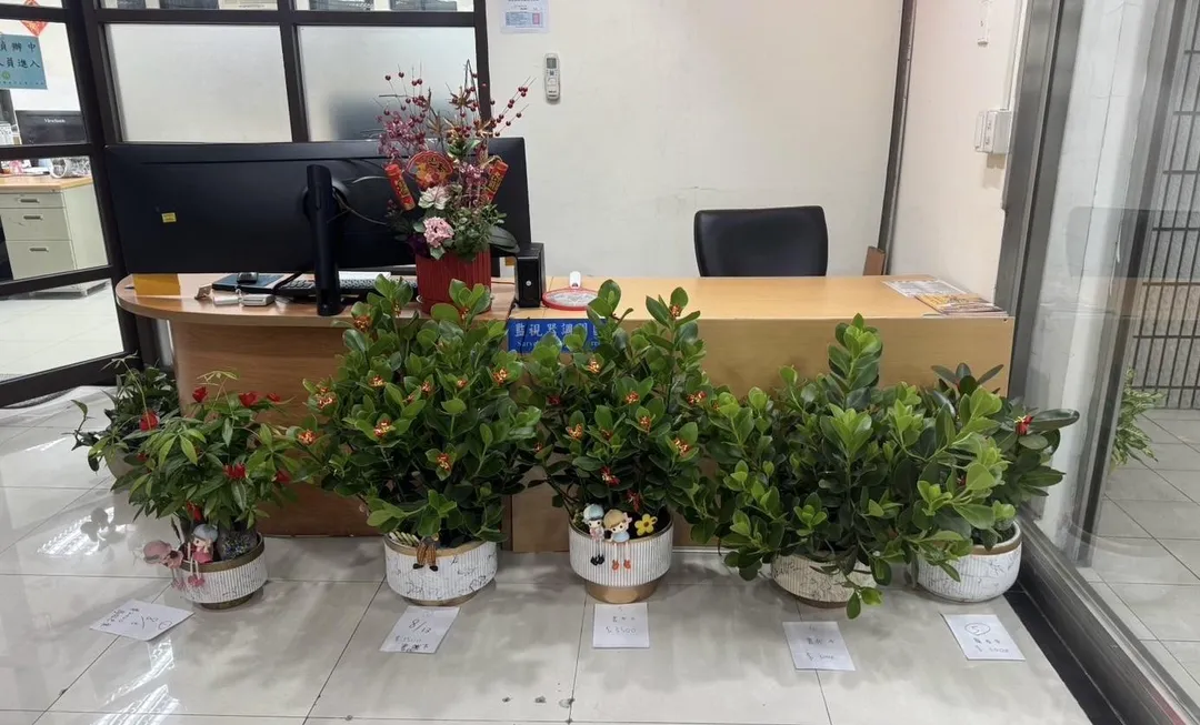 警方查扣5個遭竊盆栽。（圖／翻攝畫面）