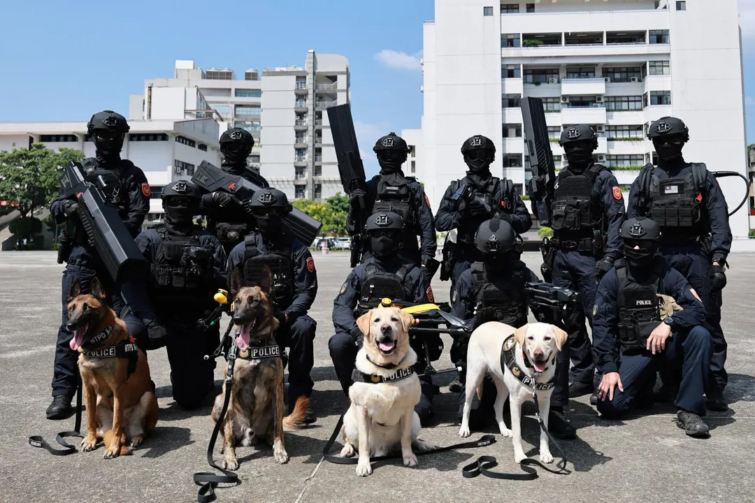 為歡慶國家生日，內政部將呈現以全社會防衛韌性為主軸的防災士遊行梯隊展演，其中萬綠叢中一點紅的警犬及消防搜救犬也將共同參與遊行演出。（圖/內政部提供）