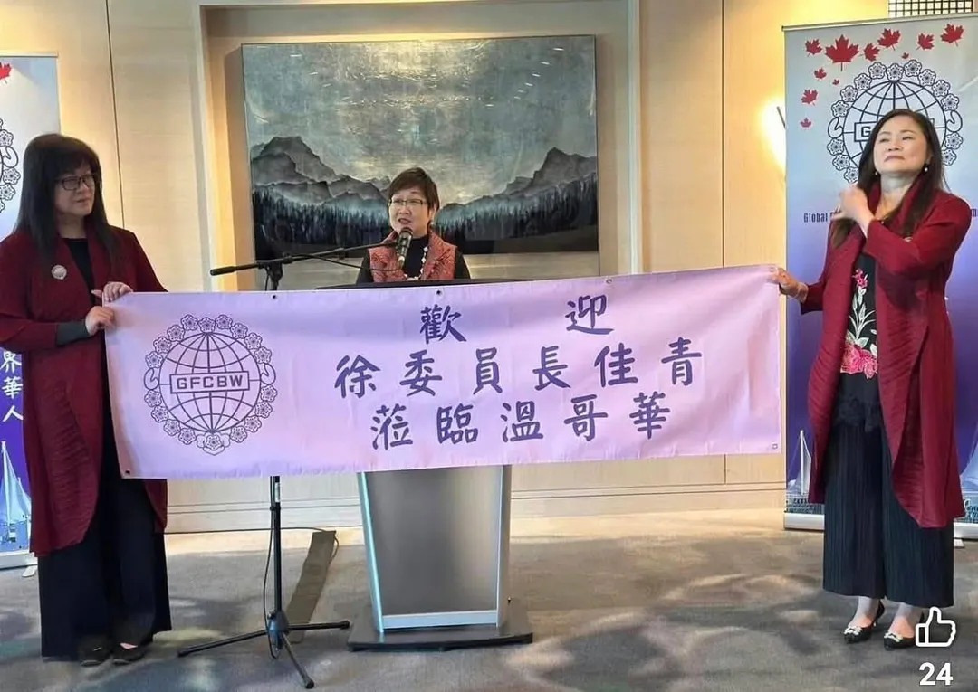 陳昭姿質疑徐佳青(圖)「寄生僑委會」。(圖/陳昭姿提供)