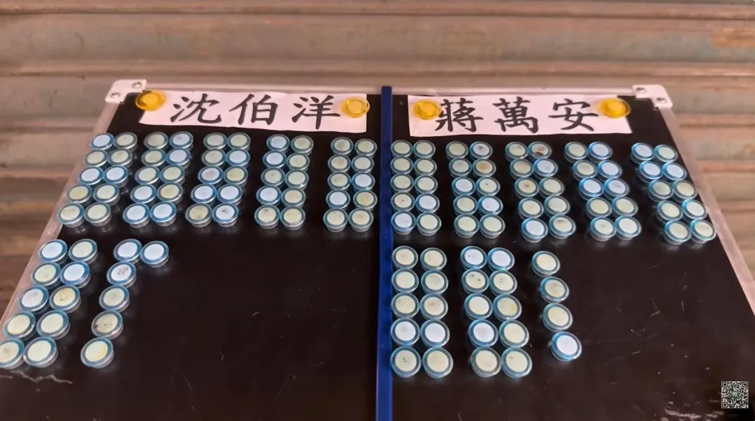 YouTube頻道《桃園孫先生》11日公布在北市大安區街頭訪問及投票結果。(圖/桃園孫先生YT)