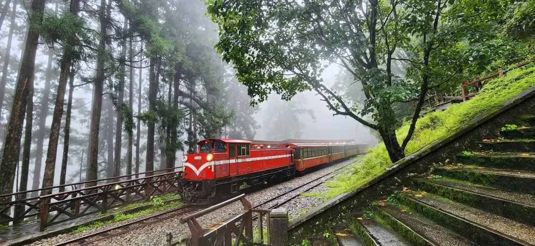 阿里山森林遊樂區3天累計吸引1萬7149人次入園。（圖／翻攝自阿里山國家森林遊樂區臉書）