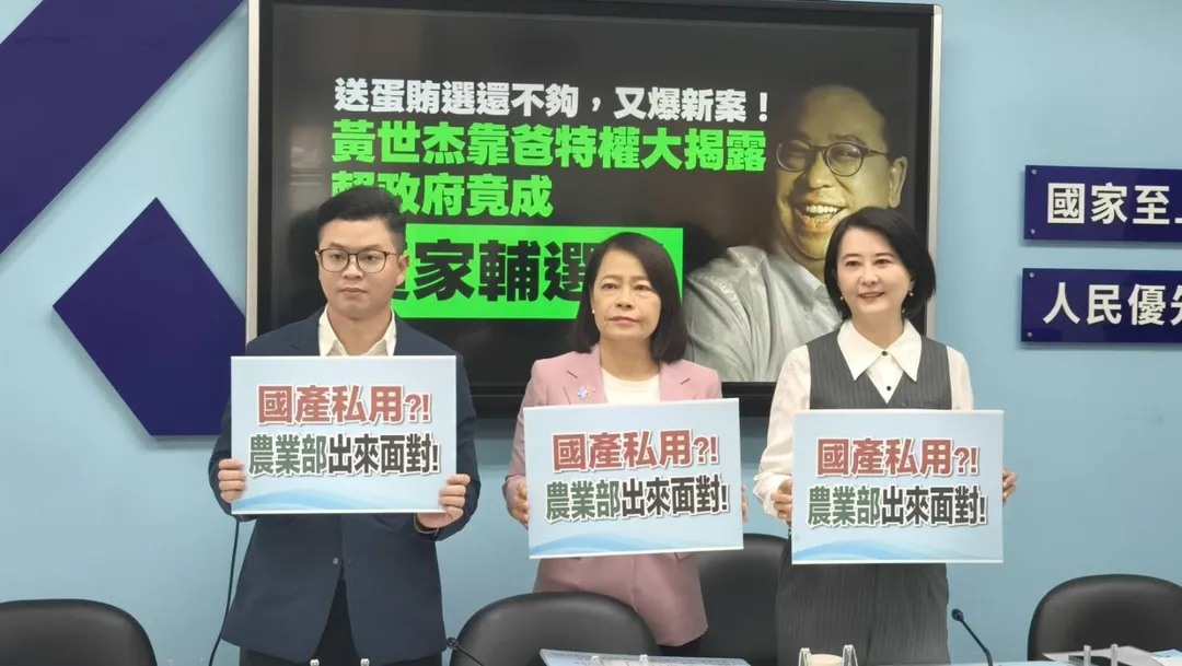 左起凌濤、許宇甄、王鴻薇。（圖／國民黨團提供）