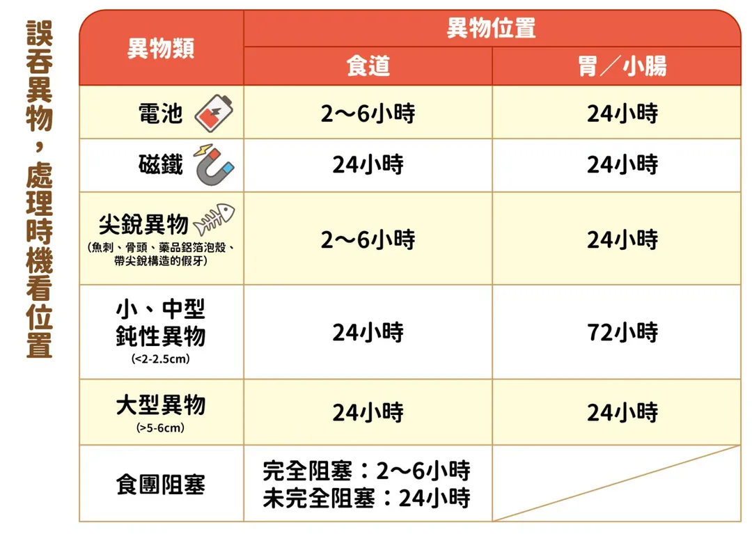 並非所有吞入的異物都需要以內視鏡取出。（圖／馬偕醫院）