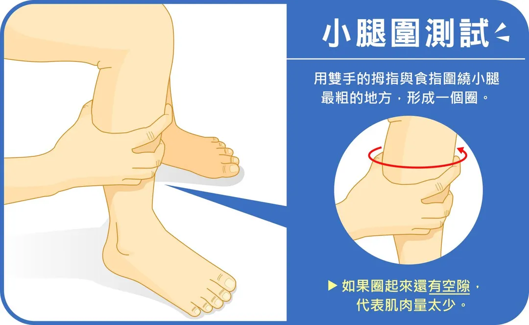 小腿圍測試：用雙手的拇指與食指圍繞小腿最粗的地方，如果圈起來還有空隙，代表肌肉量太少。（圖／北市聯醫提供）