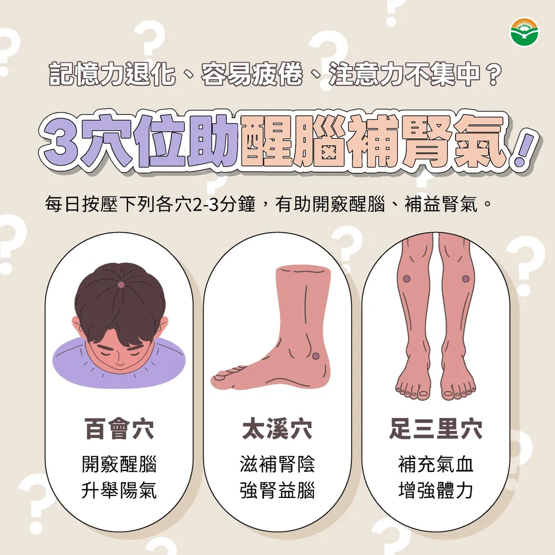 每日可按摩百會穴、太溪穴及足三里穴，每個穴位的保健方式應依個人狀況適度進行。（圖／馬光中醫）