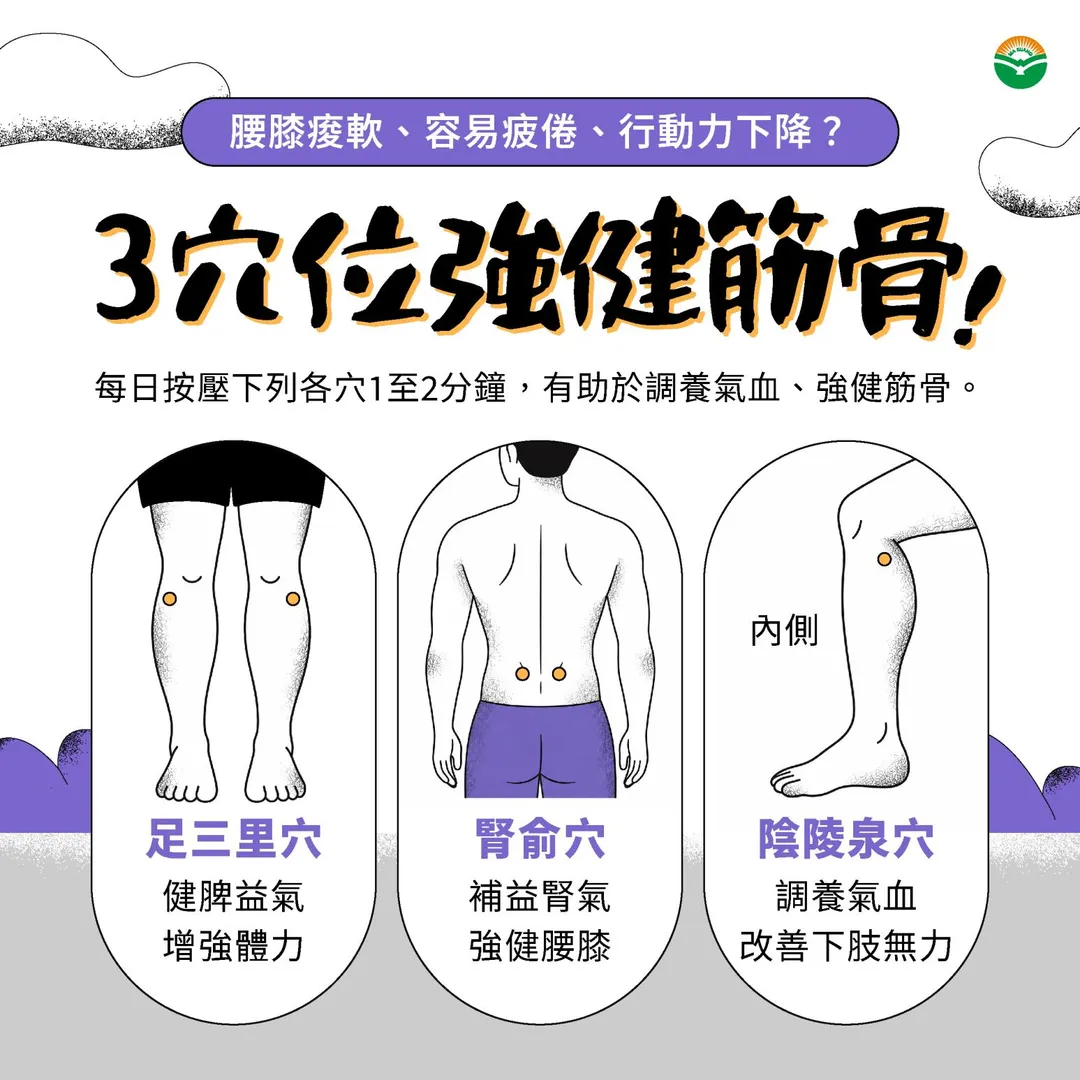 在日常保養方面,李昀芝建議,可按摩足三里、腎俞、陰陵泉等穴位,每日按壓1至2分鐘。(示意圖/AI生成圖)