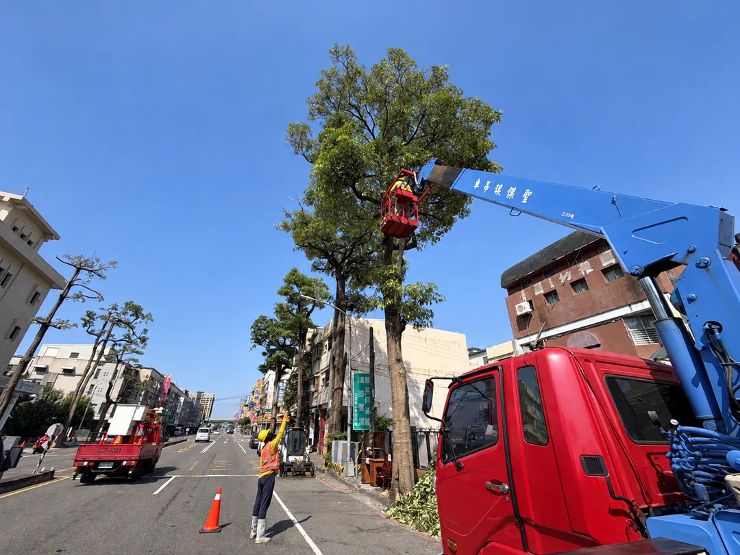 鳳頂路樹木修剪。(圖/高雄市政府工務局公園處)